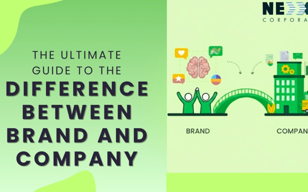 difference between brand and company