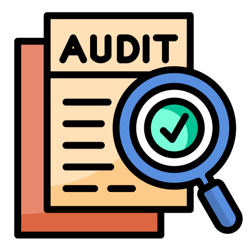 audit